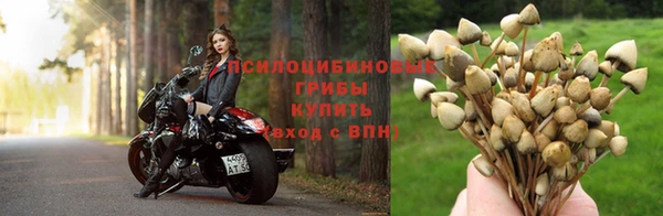 дмт Медвежьегорск