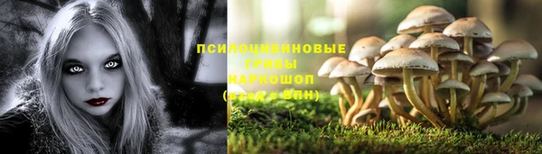 твердый Мегион