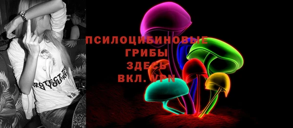 дмт Медвежьегорск