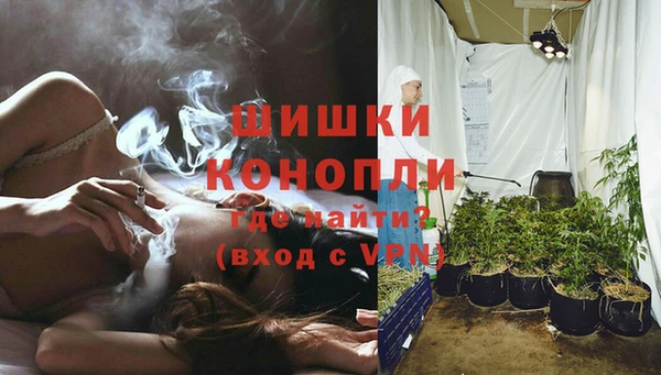 твердый Мегион