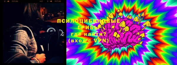 твердый Мегион