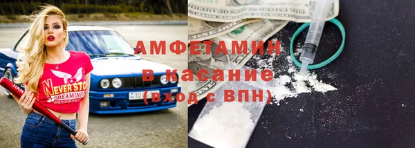 твердый Мегион