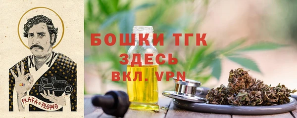 твердый Мегион