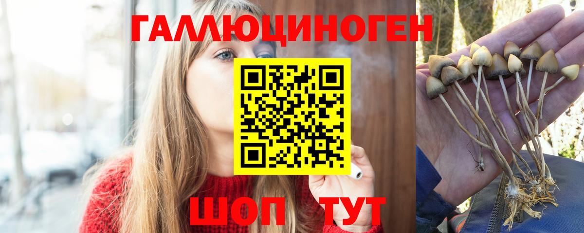 Галлюциногенные грибы ЛСД  Вход с VPN  Нижний Новгород 